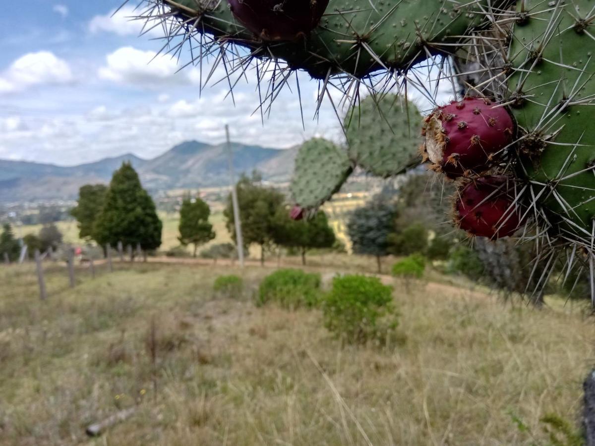 Hotel Campestre Los Duraznos Cucunuba ภายนอก รูปภาพ